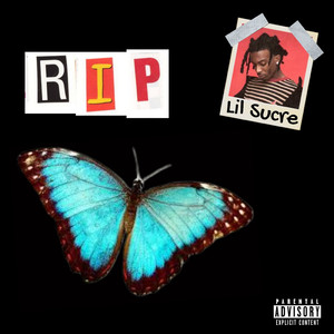 吴燕妮裸乳被爆❌白浆小说o
