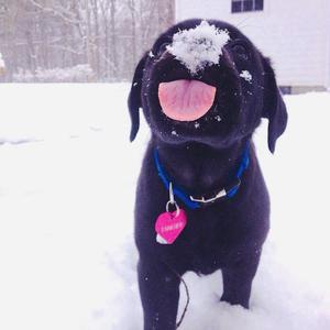 吴燕妮裸乳被爆❌白浆小说o
